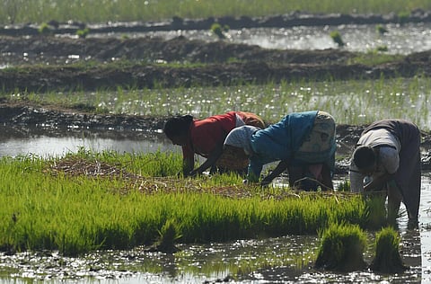 மத்திய பட்ஜெட் 2023: விவசாயக் கடன் இலக்கு ரூ.20 லட்சம் கோடியாக உயர்வு