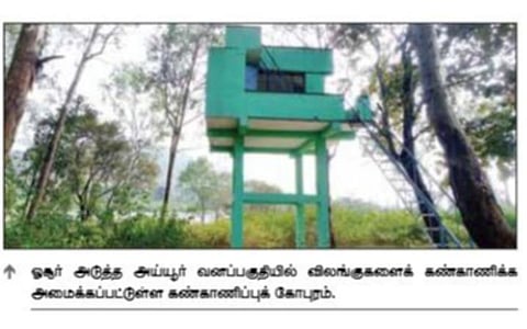அய்யூர் வனப்பகுதியில் அத்துமீறும் பயணிகளால் விலங்குகளுக்கு இடையூறு: வனத்துறையினர் கண்காணிக்க வலியுறுத்தல்