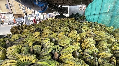 பழநியில் பஞ்சாமிர்தம் தயாரிக்க விற்பனைக்கு குவிந்துள்ள மலைவாழை: வரத்து குறைவால் விலை உயர்வு