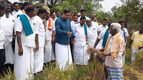 திருவாரூர் மாவட்டம்  மஞ்சக்குடி கிராமத்தில் மழையால் பாதித்த சம்பா நெற்பயிர்களை பார்வையிட்ட பாமக தலைவர் அன்புமணி ராமதாஸ்