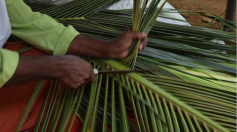 குமரியில் இருந்து வெளிநாடுகளுக்கு ஏற்றுமதி - கப்பல்களில் பயணிக்கும் ‘தென்னை ஈர்க்கு’
