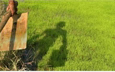 வேளாண் துறைக்கு குறைவான நிதி ஒதுக்கீடு; மத்திய பட்ஜெட்டை கண்டித்து போராட்டம்: விவசாயிகள், விவசாய தொழிலாளர் சங்கம் அறிவிப்பு