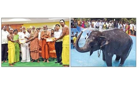 கோவை பேரூர் தமிழ் கல்லூரியில் நடந்த விழாவில் அர்ச்சகர் மற்றும் ஓதுவார் பயிற்சிப் பள்ளியில் படித்து தீட்சை பெற்ற 84 பேருக்கு, சான்றிதழ் வழங்கிய அமைச்சர் பி.கே.சேகர்பாபு. அருகில் ஆதீனங்கள் சாந்தலிங்க மருதாசல அடிகளார், குமரகுருபரசுவாமிகள் உள்ளிட்டோர். (அடுத்தபடம்) புதிதாக கட்டப்பட்ட குளியல் தொட்டியில் குளித்து மகிழும் பேரூர் பட்டீசுவரர் கோயில் யானை கல்யாணி. படங்கள்: ஜெ.மனோகரன்.