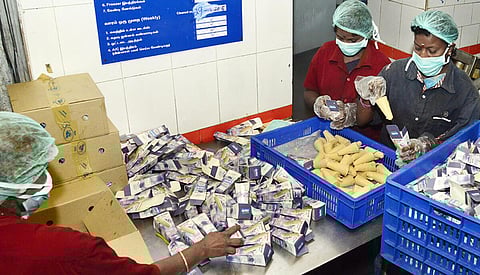 ஆவின் பணியாளர்கள் | கோப்புப் படம்