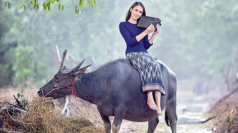 ஊடக உலா - 28: வானொலி தினத்தை ‘அமைதியாக’ கொண்டாடுவோம்!