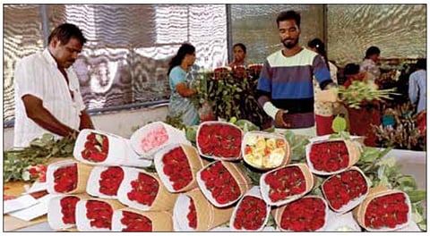 ஓசூர் அருகேயுள்ள பாகலூரில், காதலர் தினத்தையொட்டி வெளிநாடுகளுக்கு ஏற்றுமதி செய்வதற்காக ரோஜா மலர்களை பேக் செய்யும் தொழிலாளர்கள்.