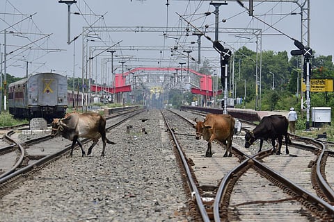 கோப்புப்படம்