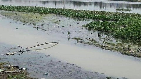 நம் பிழையை நாமே திருத்துவோம்!