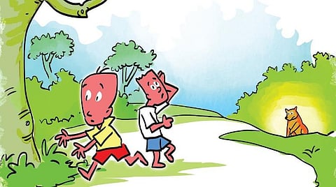 நானும் கதாசிரியரே! - 5: கரடி காதில் என்ன சொன்னது?