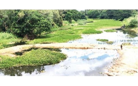 அமராவதி ஆறு, சண்முகாநதி, நங்காஞ்சியாறு, குடகனாறு இணைப்பு திட்டம்: முன்னுரிமை கொடுப்பாரா முதல்வர்?