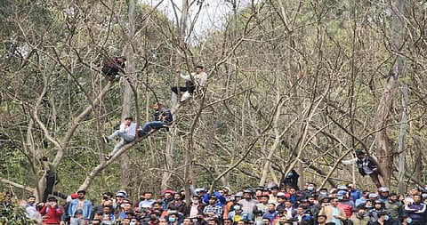 போட்டியை பார்க்கும் ரசிகர்கள் | படம்: ட்விட்டர்