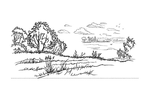 காட்டின் மீது காதல்