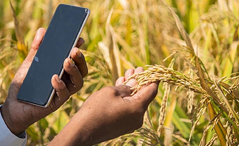 தமிழகத்தில் தகவல் தொழில்நுட்பம், வாட்ஸ் அப் மூலம் விவசாயிகளுக்கு சேவை வழங்க 9 திட்டங்கள் - முழு விவரம்