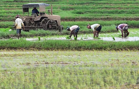 வேளாண் பட்ஜெட்: இன்னும் கடக்க வேண்டிய படிகள்