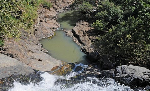 எழில் மிகுந்த பச்சமலை