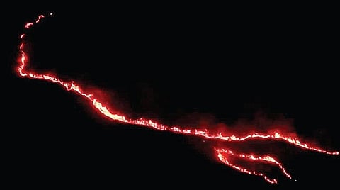 கொடைக்கானல் அருகே பள்ளங்கி வனப்பகுதியில் ஏற்பட்ட காட்டுத்தீ.