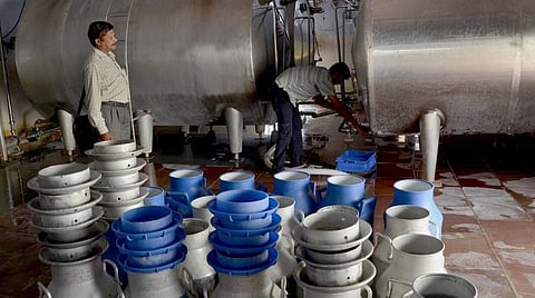 பால் பொருட்கள் இறக்குமதி இல்லை: அமைச்சர் தகவல்