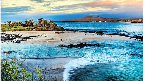 கலாபகஸ் தீவுகள் எனும் உயிர்க்கோளம்