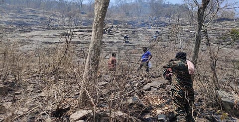 300 பேர் சுழற்சி முறையில் பணி - மேற்கு தொடர்ச்சி மலைப் பகுதியில் முழுமையாக அணைக்கப்பட்ட காட்டுத் தீ