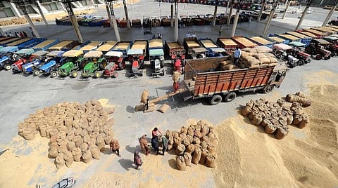 15 ஆயிரம் டன் கோதுமை கொள்முதல் செய்ய திட்டம் - மத்திய அரசிடம் அனுமதி கோரியுள்ளதாக அமைச்சர் தகவல்