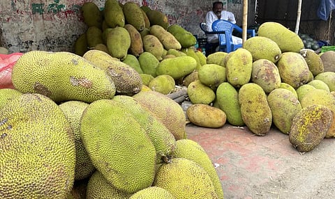 கேரளாவில் சீசன் தொடக்கம்: பழநியில் விற்பனைக்கு குவியும் பலாப்பழம்