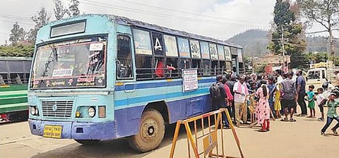 சுற்றுலா பயணிகளை கவர்ந்த சுற்றுப் பேருந்து சேவை - உதகையில் களைகட்டும் சுற்றுலா தலங்கள்