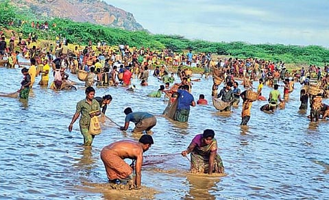 சிங்கம்புணரி அருகே மீன்பிடி திருவிழா - மீன்களை அள்ளிச் சென்ற கிராம மக்கள்