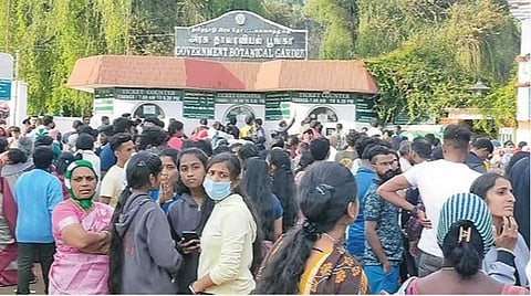 உதகையில் கோடை சீசன் தொடங்கியுள்ளதால் சுற்றுலா வாகனங்களை நிறுத்த தனி ஏற்பாடு