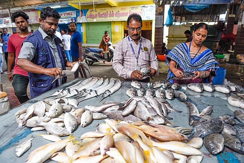 சேலம் சூரமங்கலம் மீன் மார்க்கெட்டில் ஆய்வு | படம்:எஸ்.குரு பிரசாத்