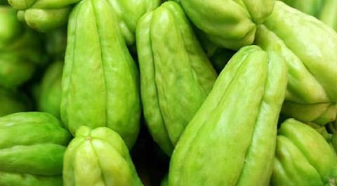 சிறுமலை சவ்சவ் விளைச்சல் அதிகரிப்பால் விலை வீழ்ச்சி: ஒரு கிலோ ரூ.6-க்கு விற்பதால் விவசாயிகள் கவலை