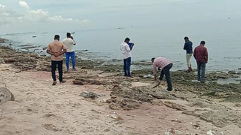 பாம்பன் கடற்பகுதியில் நேற்று சோதனை மேற்கொண்ட போலீஸார்.