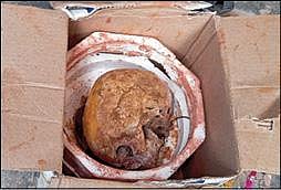 பார்சலில் இருந்த மண்டை ஓடு.