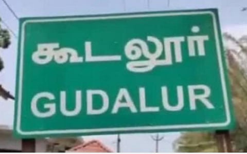 பிளஸ் 2 வகுப்புக்கான ஆசிரியர்களின்றி தேர்ச்சி பெற்ற பழங்குடியின மாணவர்கள்: கார்குடி அரசு மேல்நிலைப் பள்ளி அசத்தல்