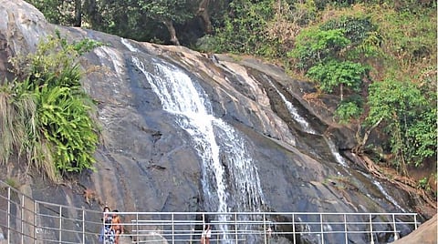 கொல்லிமலை மாசிலா அருவி. (கோப்பு படம்)