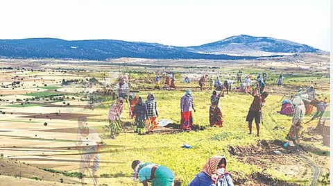 நில ஒருங்கிணைப்புச் சட்டம்: புதிய பேராபத்து!