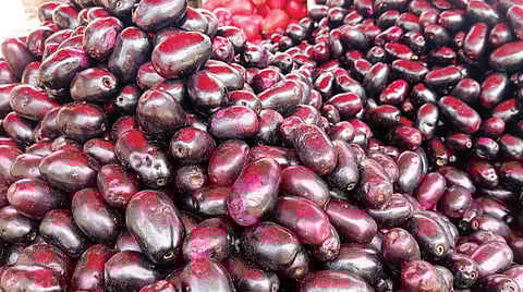 மருத்துவ குணம் நிறைந்த ஜம்பு நாவல் பழம் விற்பனை ஓசூரில் அதிகரிப்பு: விலை உயர்ந்தாலும் வாங்க மக்கள் ஆர்வம்