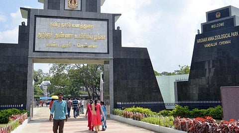 வெயிலின் தாக்கத்திலிருந்து விலங்குகளைக் காக்க வண்டலூர், கிண்டி பூங்காக்களில் கோடை மேலாண்மைப் பணிகள் தீவிரம்