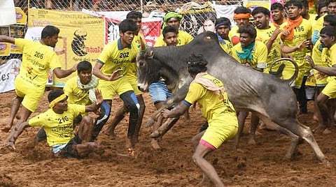 ஜல்லிக்கட்டு தீர்ப்பு | பொங்கல் திருநாளில் வெற்றி விழாவாக கொண்டாடுவோம் - முதல்வர், கட்சித் தலைவர்கள் வரவேற்பு