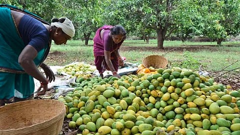 கோப்புப்படம்
