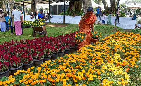ஏற்காடு கோடை விழா மற்றும் மலர் கண்காட்சி நாளை மறுநாள்  தொடங்குகிறது. இதற்கான முன்னேற்பாடு பணிகள் விறுவிறுப்பாக நடைபெற்று வருகிறது. | படம் எஸ்.குரு பிரசாத்