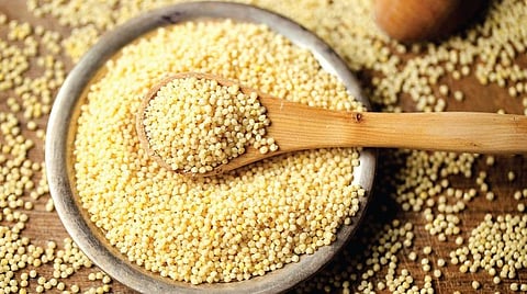 உலக சிறுதானிய ஆண்டு 2023: வலிமை தரும் குதிரைவாலி