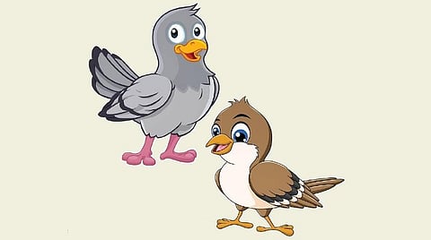 கதைகள்: இறகு