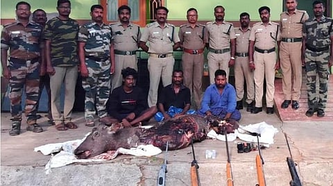 கொடைக்கானல் அருகே கடமானை வேட்டையாடிய 3 பேர் கைது - 5 ஏர் கன், ஆயுதங்கள் பறிமுதல்