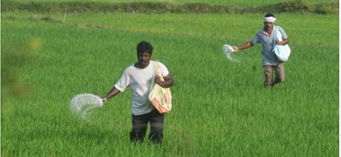 சாகுபடி பயிர்களின் பரப்பளவை துல்லியமாக கணக்கிட புதிய செயலி - 35 மாவட்டங்களில் செயல்படுத்த முடிவு