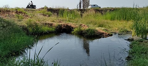 காரைக்குடியில் தேனாற்றில் திறந்துவிடப்பட்ட பாதாளச் சாக்கடை கழிவுநீர்.