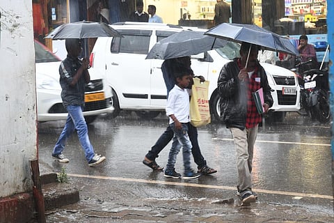 தமிழகத்தில் 12 மாவட்டங்களில் இன்று கனமழைக்கு வாய்ப்பு