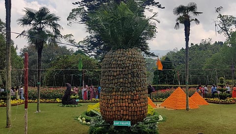 குன்னூர் சிம்ஸ் பூங்காவில் தொடங்கிய பழக் கண்காட்சியில் பார்வையாளர்களை கவர்ந்த 12 டன் மெகா அன்னாசி பழம்