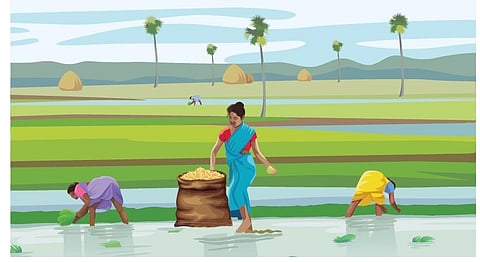 கிராமத்து அத்தியாயம் - 17: புழுங்க நெல் விதை