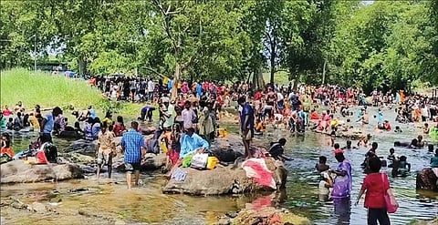 தருமபுரி மாவட்டம் ஒகேனக்கல்லுக்கு நேற்று வந்த சுற்றுலாப் பயணிகள் காவிரி ஆற்றில் குளித்து மகிழ்ந்தனர்.