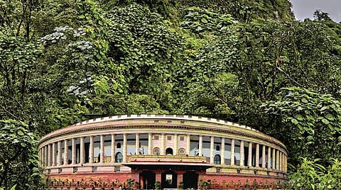 புதிய சட்டத் திருத்தம்: வனங்களைப் பாதுகாக்கவா, தாரைவார்க்கவா?